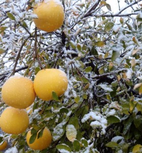 Image credit:  Lisa N